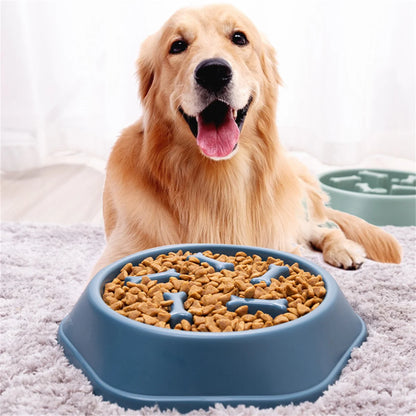 Pet Slow Food Bowl - Choke-proof & Non-slip